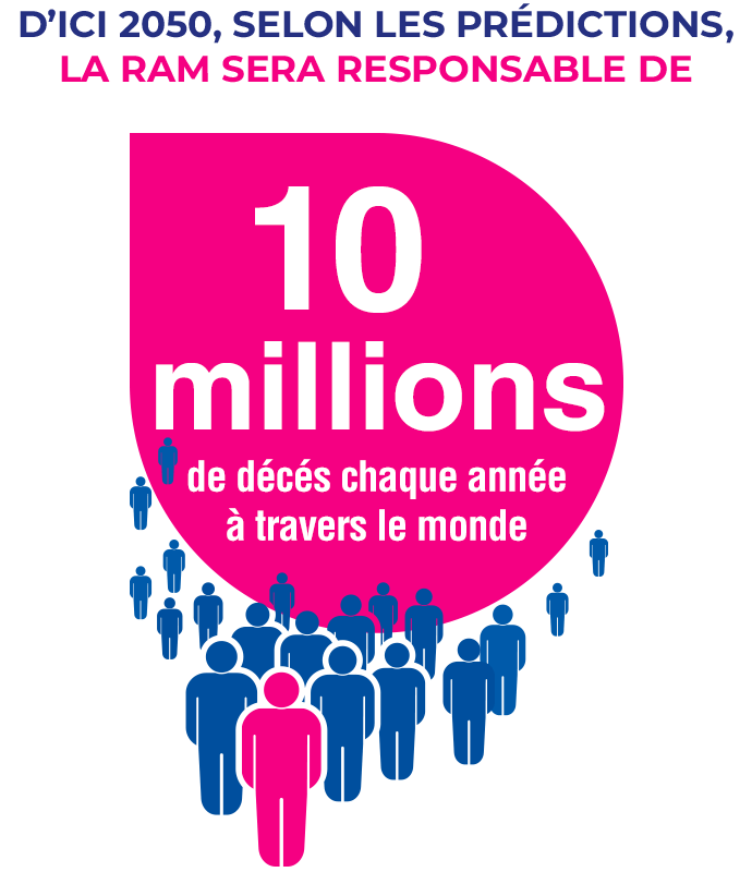 CH_FR_Animation_03