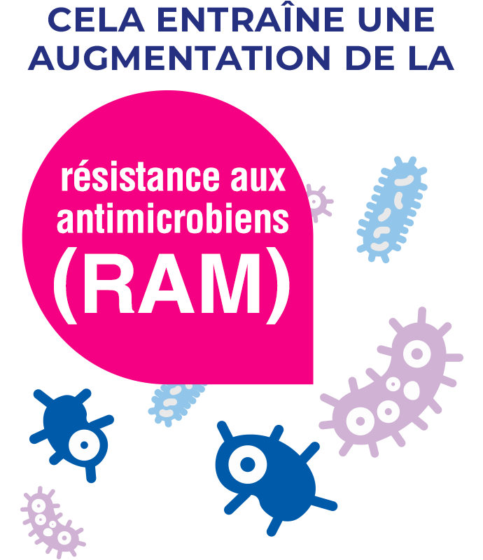 CH_FR_Animation_02